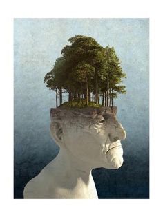 a man's head with trees growing out of the top and bottom of it