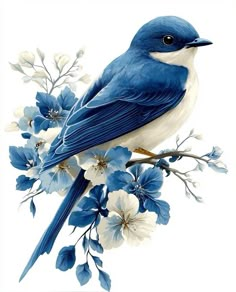 a blue bird is sitting on a branch with white flowers