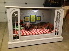 two dogs laying on top of a dog bed in a room with white walls and windows