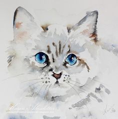 a watercolor painting of a cat with blue eyes