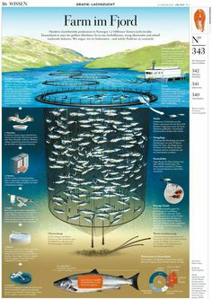 an image of a fish farm in the ocean with information about it and how to use it