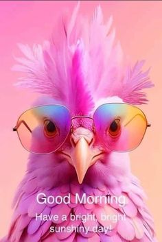 a pink bird with glasses on it's head and the words good morning have a bright, sunny day