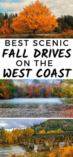 fall drives on the west coast with text overlay that reads best scenic fall drives on the west coast