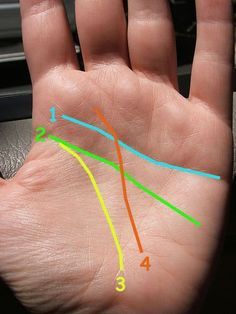 Hand Reading, Palm Lines, Palm Reading, Reflexology, Palm Of Your Hand, Acupuncture, Good Ideas, Body Fat, Things To Know