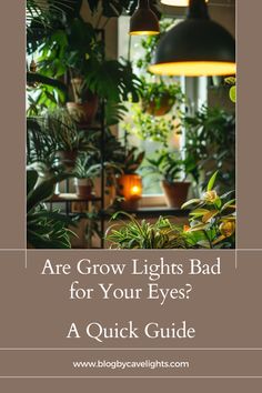 some plants and lights in a room with the words are grow lights bad for your eyes?