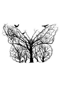 birds are sitting on the branches of a tree in black and white, with no leaves