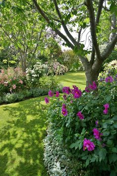 a lush green yard with pink flowers and trees in the background, surrounded by greenery