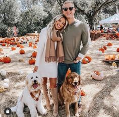 a man and woman standing next to two dogs in front of pumpkins on the ground