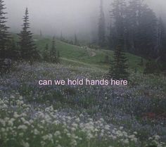 the words can we hold hands here are surrounded by wildflowers and pine trees