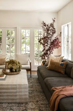 a living room filled with furniture and lots of windows in it's centerpiece