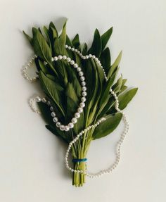 a bunch of green leaves and pearls on a white surface with a beaded necklace