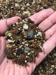 a person's hand holding dirt and rocks in their palm, filled with soil