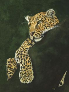 a painting of a leopard resting on a rock