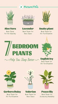 a poster with different types of house plants