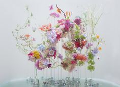 a bunch of flowers that are on top of a glass table in front of a white wall