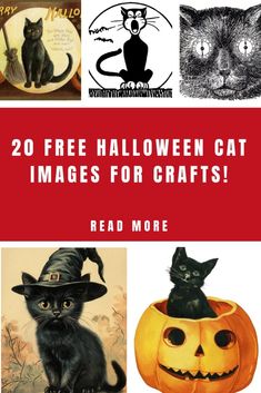 halloween pictures with cats and pumpkins on them, including the words 20 free halloween cat images