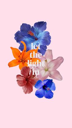 colorful flowers with the words let the light in on pink backround photo by person