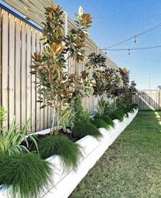 some very pretty plants by the side of a fence