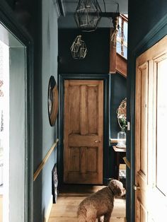 a dog sitting on the floor in front of a wooden door and some lights above it