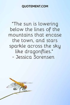 the sun is lowering below the lines of the mountains that encase the town, and stars sparkle across the sky like dragonflies