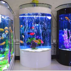 an aquarium filled with lots of different types of fish in it's display area