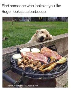 a dog is looking over an outdoor grill with food on it