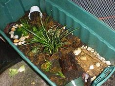 a green container filled with dirt and plants