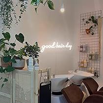 a hair salon with chairs and plants in the corner