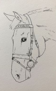 a drawing of a horse wearing a bridle