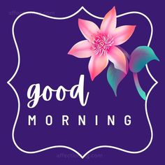 a pink flower with the words good morning written in white lettering on a purple background