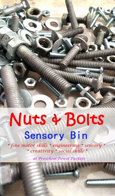 nuts and bolts are shown with the words, nuts and bolts sensory bin fine motor skills engineering