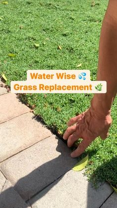 a person standing in the grass with their foot on top of a sticker that says water wise grass replacement