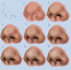 various stages of the nose to be drawn