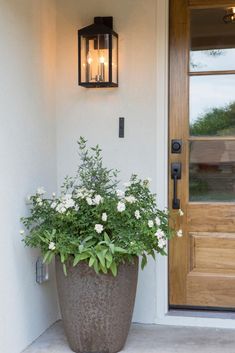 a potted plant with white flowers in front of a door and two lights on the wall