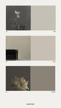 four different shades of gray and white with flowers in the middle one has a black couch