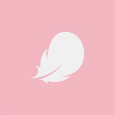 a white feather on a pink background