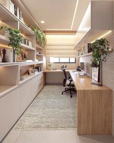 an office area with desk, shelves and plants