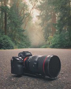 a camera lens sitting on the side of a road in front of some tall trees