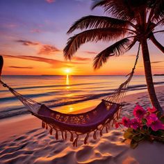 a hammock on the beach at sunset with pink flowers in the foreground