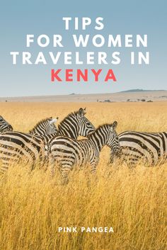 four zebras standing in tall grass with the title 7 amazing things to do in kenya