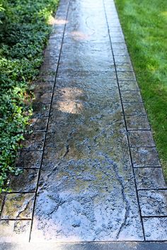 a sidewalk that has been cleaned and is next to some bushes on the other side