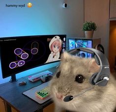 a hamster wearing headphones sitting in front of a computer