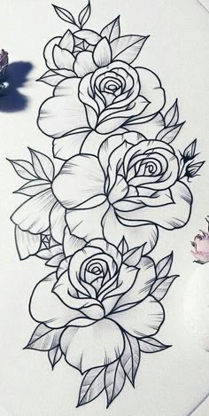 a drawing of some flowers on a sheet of paper