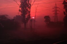 the sun is setting behind power lines and telephone poles on a foggy day with trees in the foreground