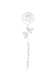 a drawing of a single rose on a white background