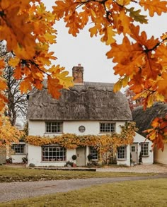 a white house with a thatched roof surrounded by autumn leaves