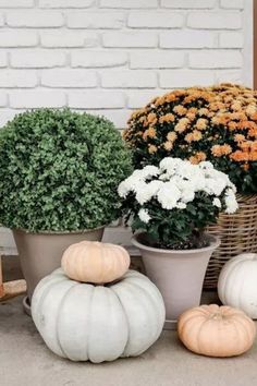 white pumpkins and flowers are sitting on the ground