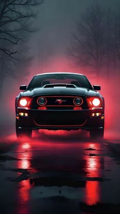 a car driving on a wet road in the dark with fog and trees behind it