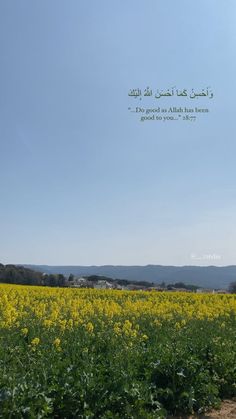 a field full of yellow flowers under a blue sky with an arabic quote in the middle