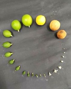 there are many fruits and vegetables arranged in the shape of a circle on top of a table